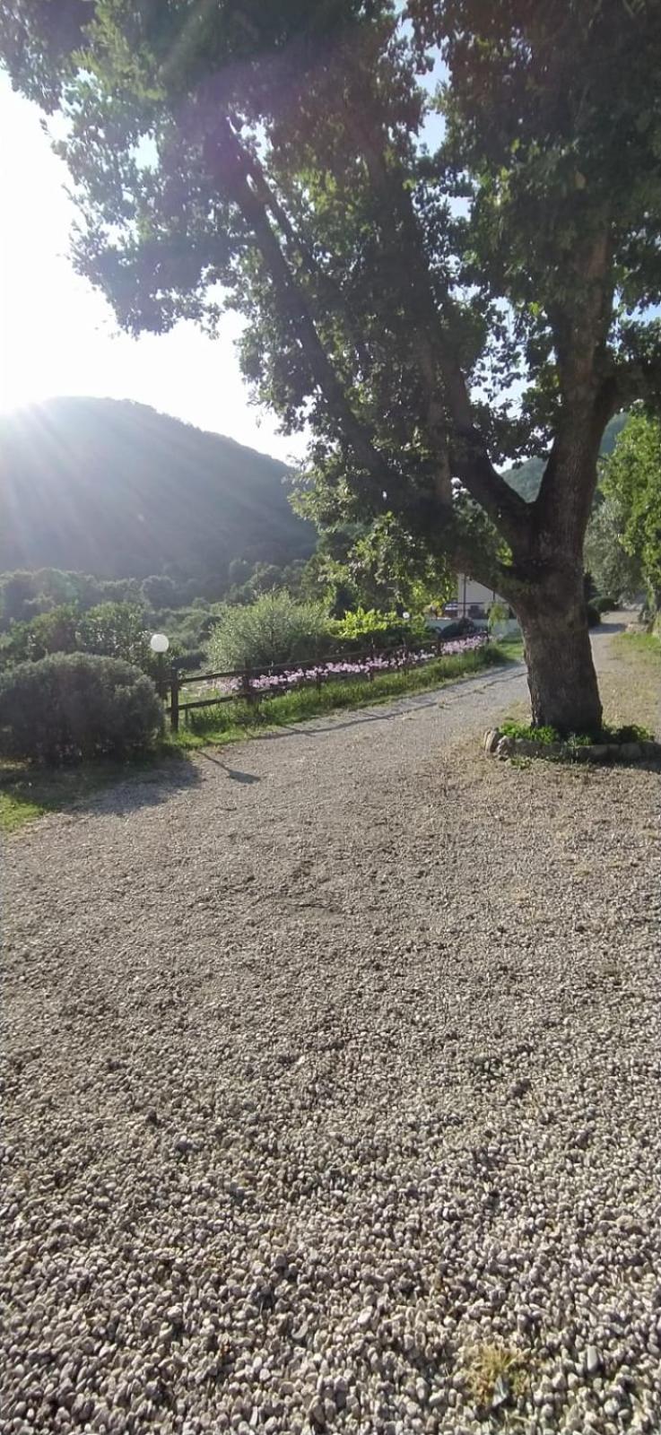 Azienda Agricola Biologica La Cardellina Tolfa Exterior foto