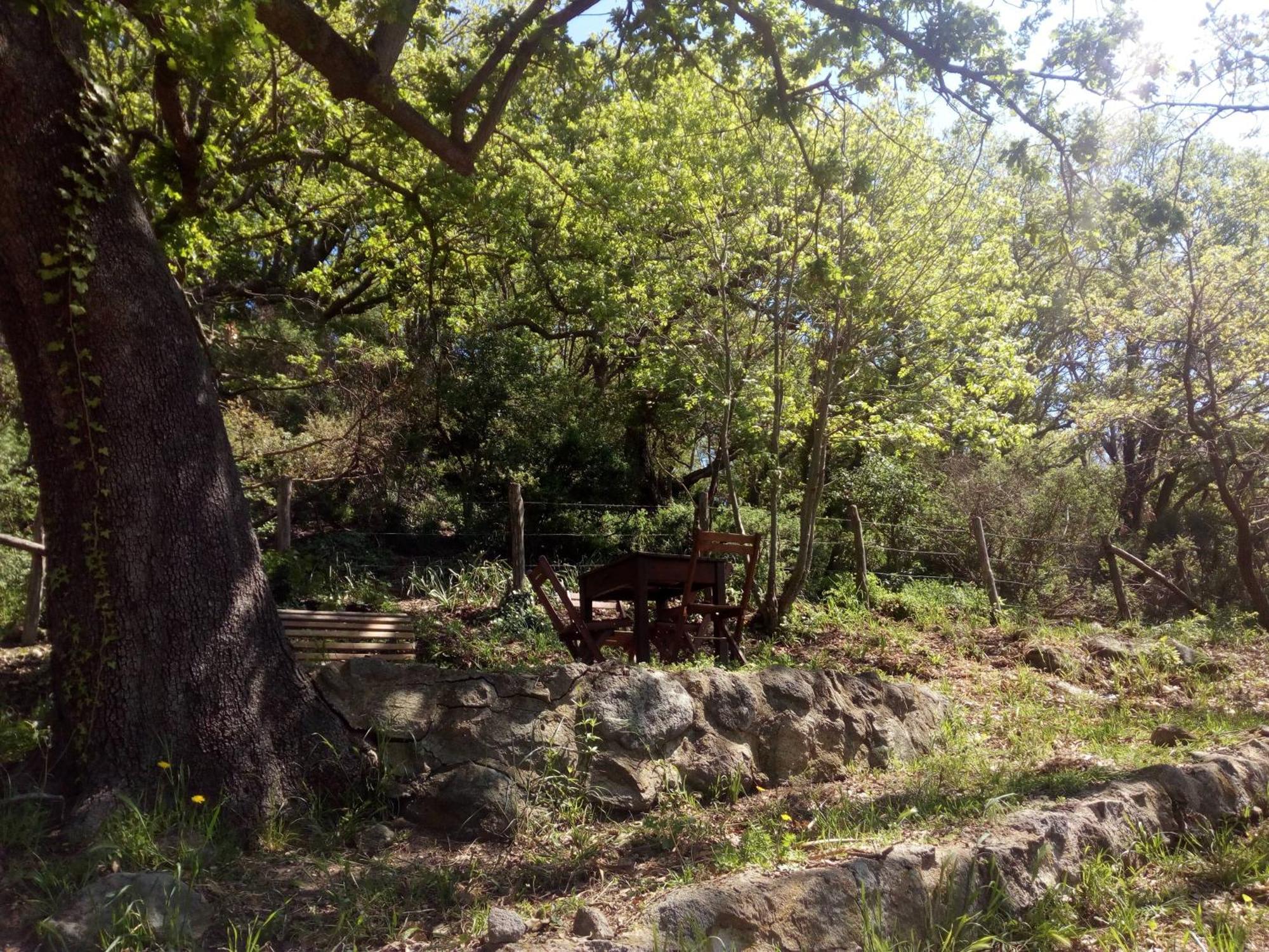 Azienda Agricola Biologica La Cardellina Tolfa Exterior foto