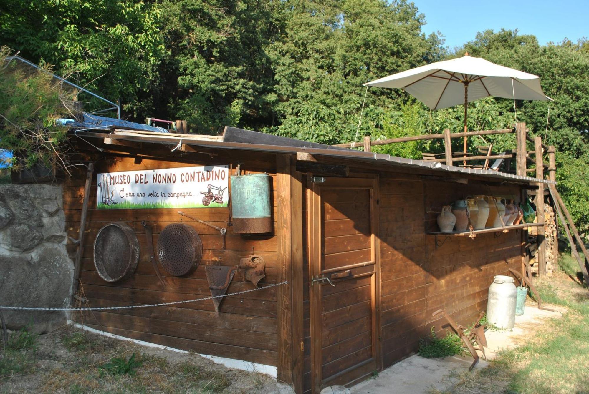 Azienda Agricola Biologica La Cardellina Tolfa Exterior foto