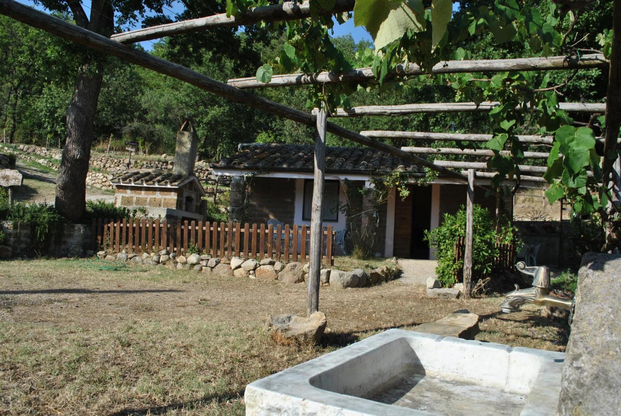 Azienda Agricola Biologica La Cardellina Tolfa Exterior foto
